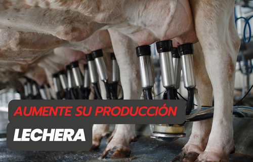 tecnologia-en-la-produccion-lechera